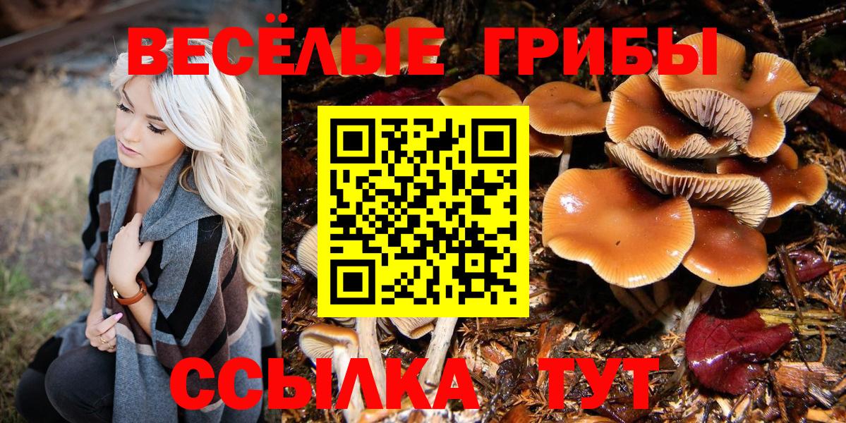 Псилоцибиновые грибы мицелий  Вход с VPN  Псилоцибиновые грибы мицелий  Орёл 